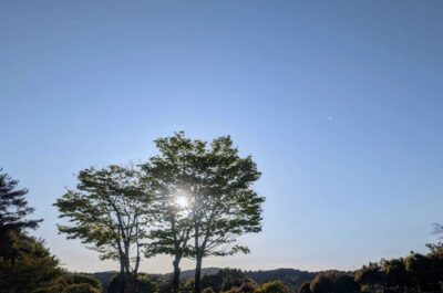 深み、増してます✧\( ˙-˙ )/✧